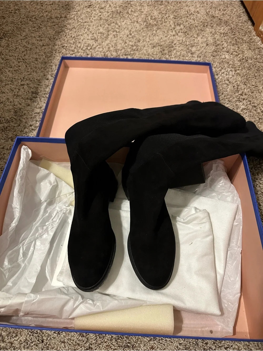 Stuart Weitzman elegant over